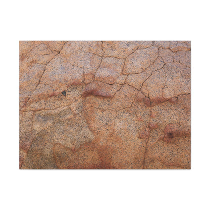 Cracked Earth's Whisper - Unique Frameless Canvas Wall Art - Art By Earth