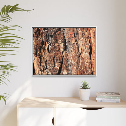 Nature's Rugged Canvas - Unique Stretched Canvas Wall Art