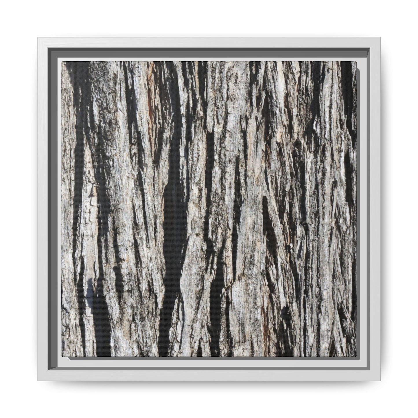 Bark Lines - Unique Stretched Canvas Wall Art - Art By Earth