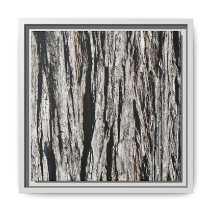Bark Lines - Unique Stretched Canvas Wall Art - Art By Earth