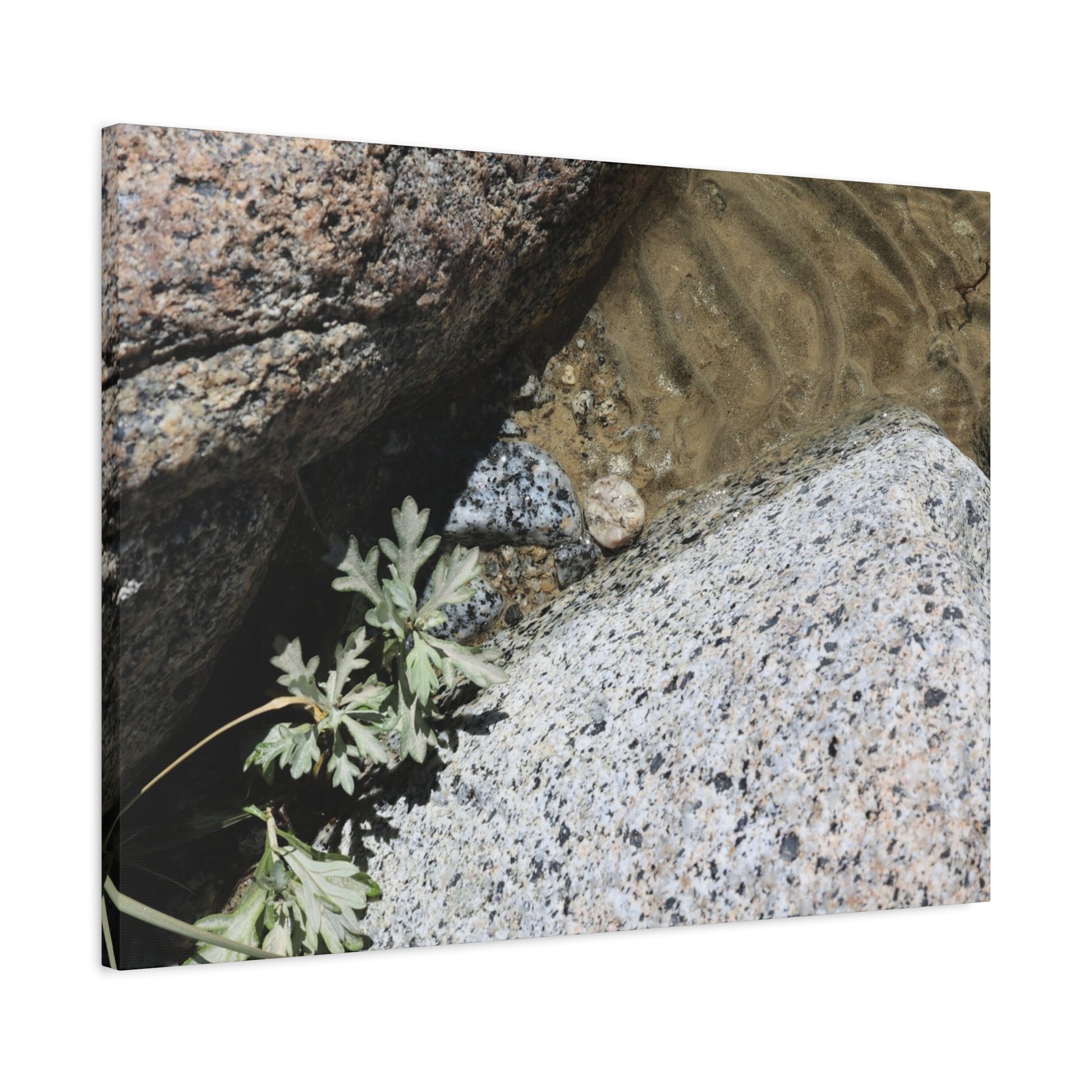 Between Stone and Sand - Unique Frameless Canvas Wall Art - Art By Earth