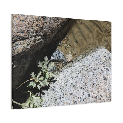 Between Stone and Sand - Unique Frameless Canvas Wall Art - Art By Earth