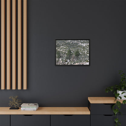 Rocky Hillside with Pine Trees - Unique Stretched Canvas Wall Art - Art By Earth