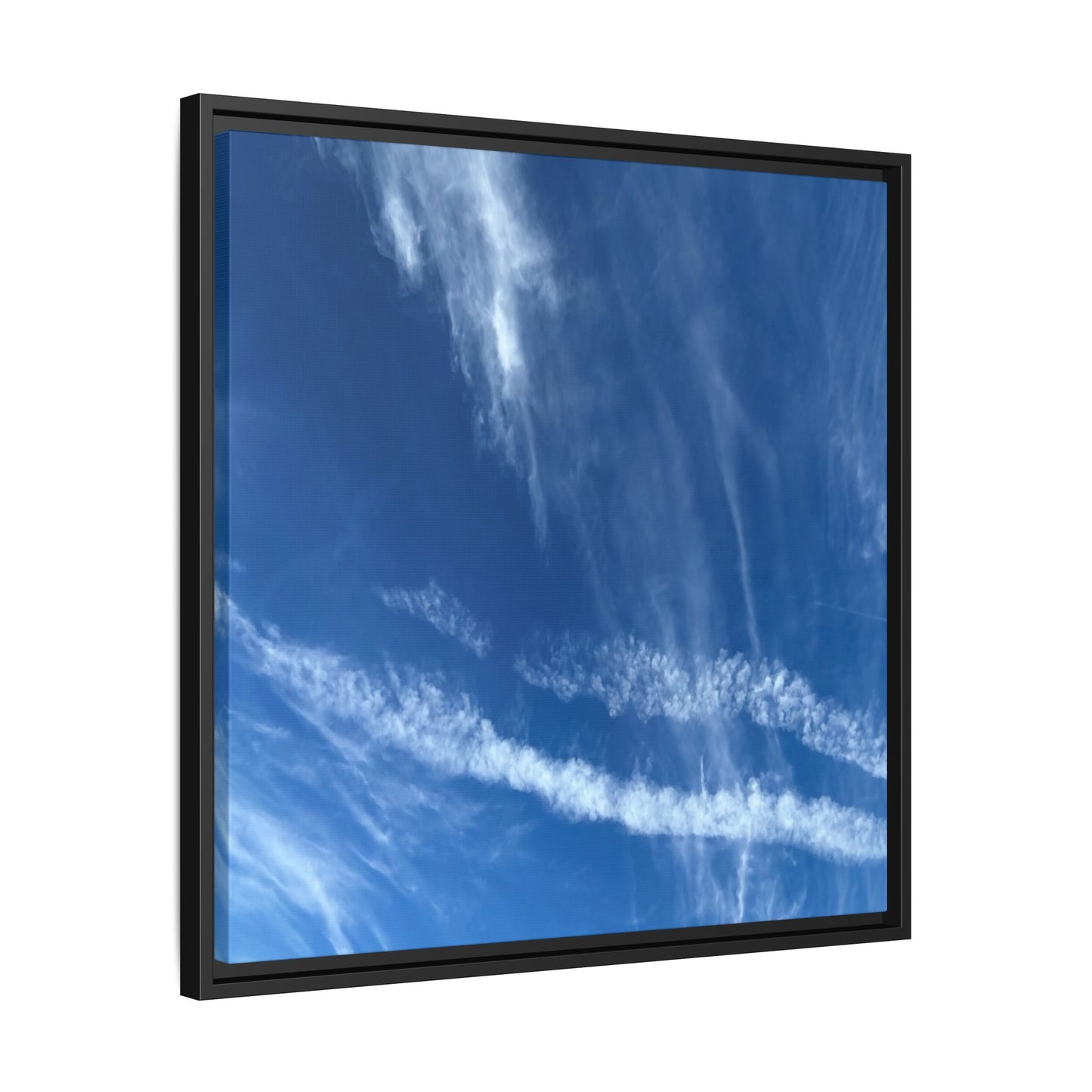 Sky Dance - Unique Stretched Canvas Wall Art - Art By Earth