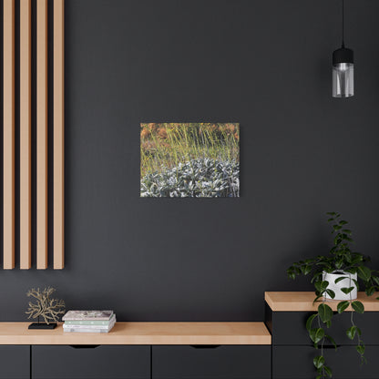 Desert Wildflowers in Bloom - Unique Frameless Canvas Wall Art - Art By Earth