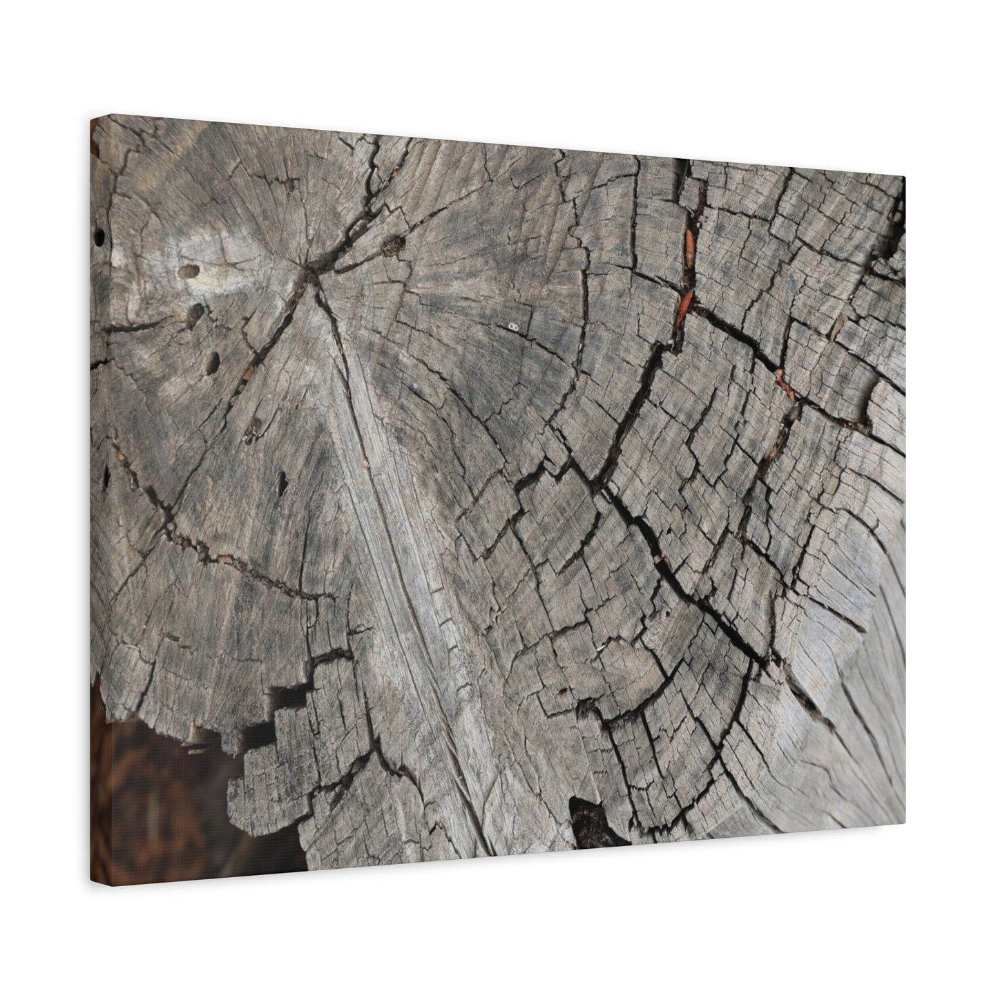 Cracked Memories - Unique Frameless Canvas Wall Art - Art By Earth