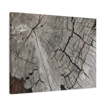 Cracked Memories - Unique Frameless Canvas Wall Art - Art By Earth