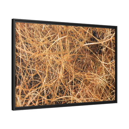 Dried Grass - Unique Stretched Canvas Wall Art - Art By Earth