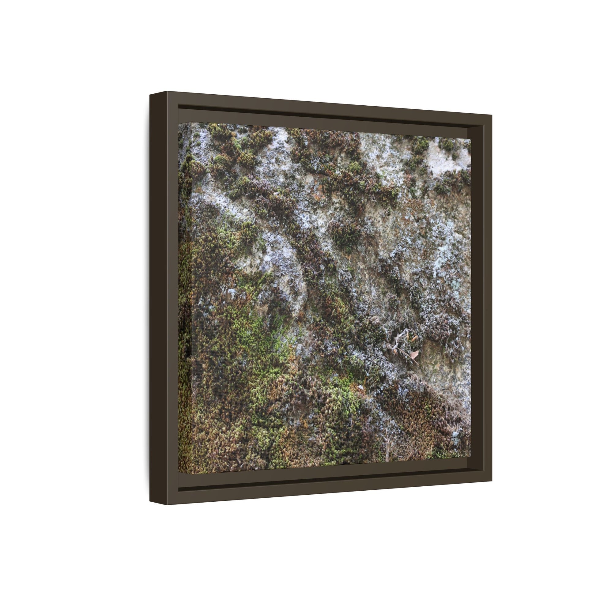 Mossy Whispers - Unique Stretched Canvas Wall Art - Art By Earth