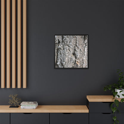 Crusty Exterior - Unique Stretched Canvas Wall Art - Art By Earth