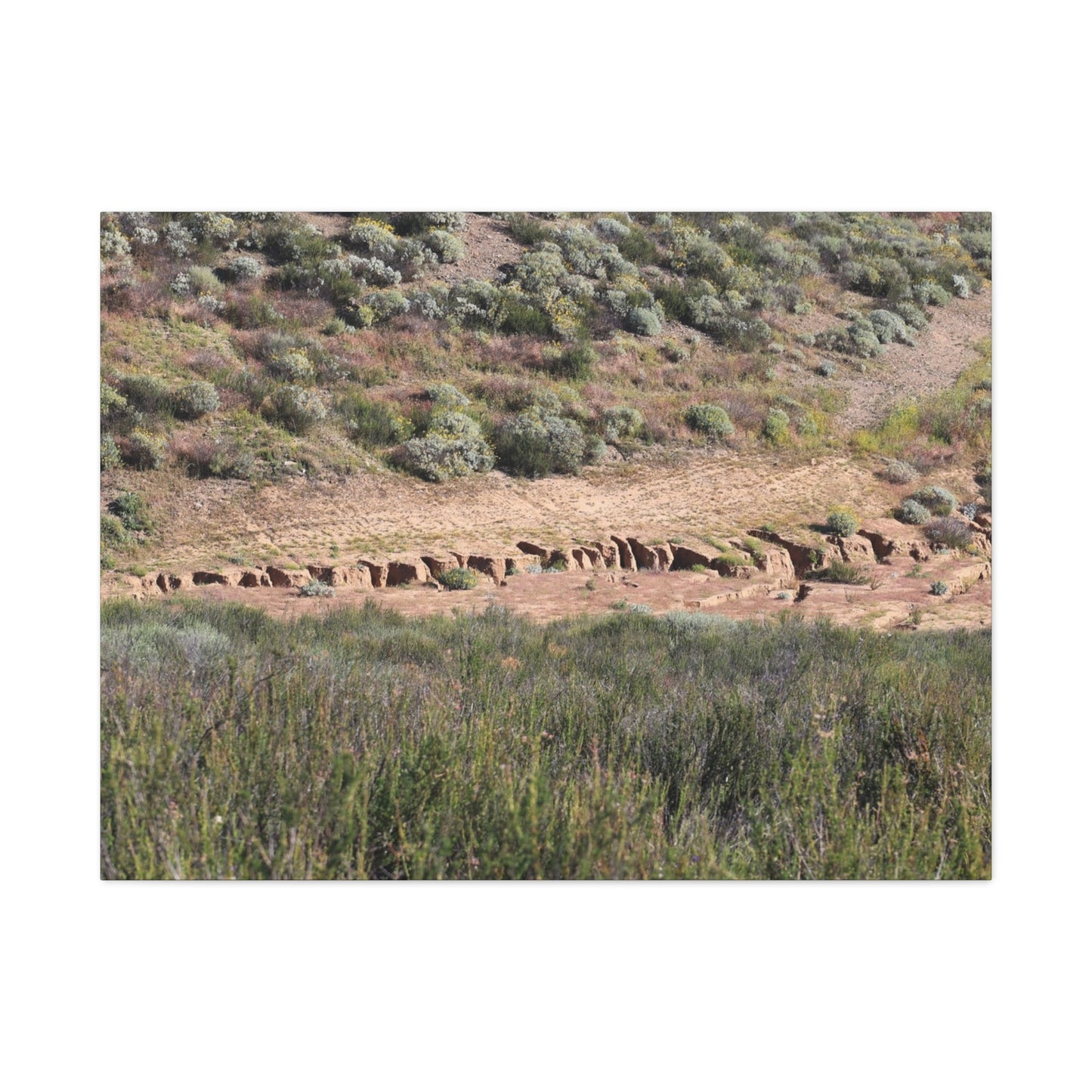 Ancient Dwellings in the Desert Valley - Unique Frameless Canvas Wall Art - Art By Earth