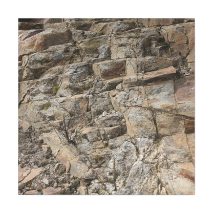 Broken Rock Canvas - Unique Frameless Canvas Wall Art - Art By Earth