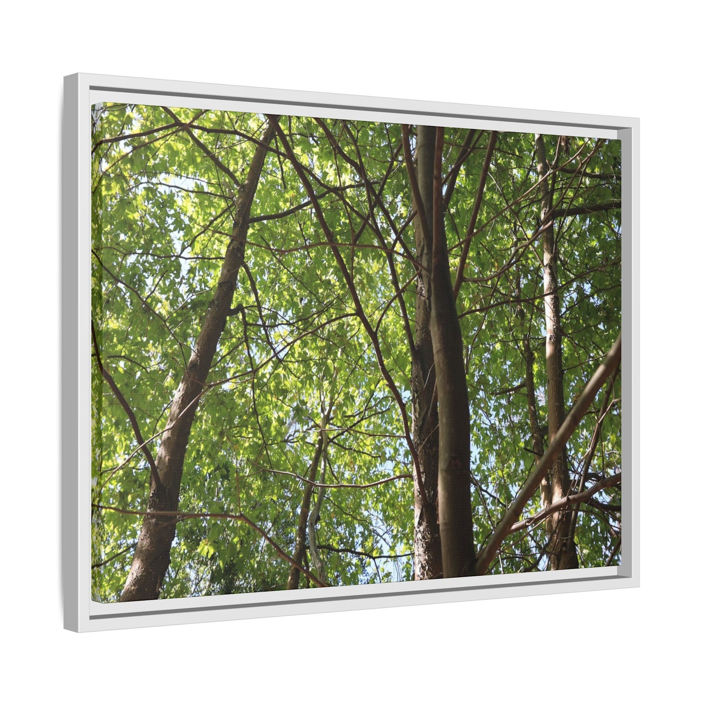 Forest Branches - Unique Stretched Canvas Wall Art