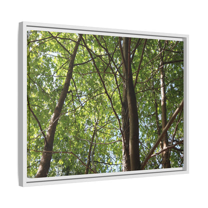 Forest Branches - Unique Stretched Canvas Wall Art
