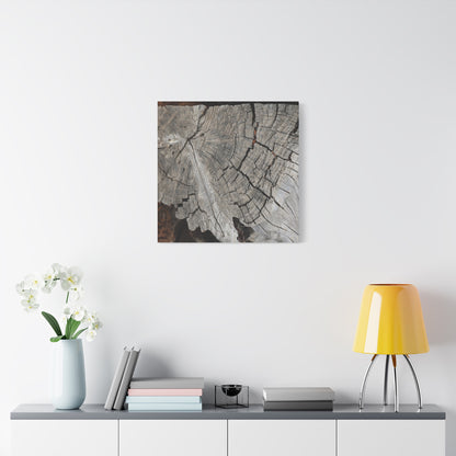 Cracked Memories - Unique Frameless Canvas Wall Art - Art By Earth