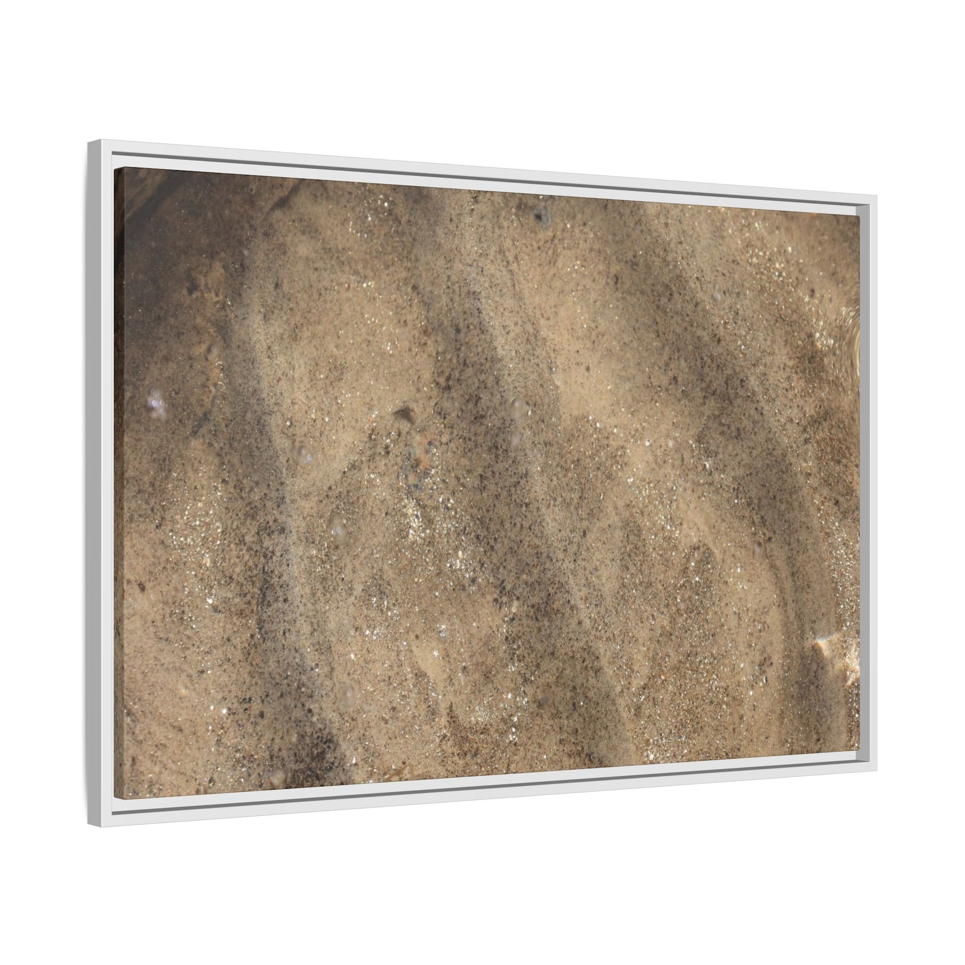 Tidal Pool Secrets - Unique Stretched Canvas Wall Art - Art By Earth