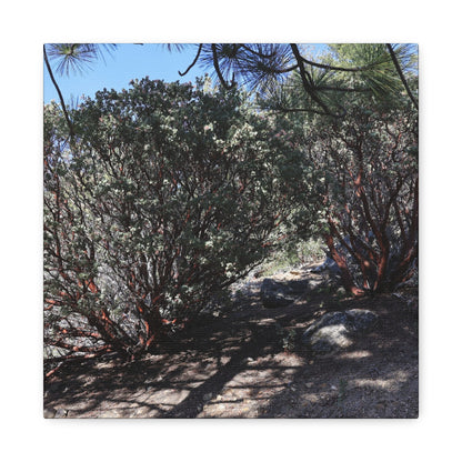 Desert Blooms - Unique Frameless Canvas Wall Art