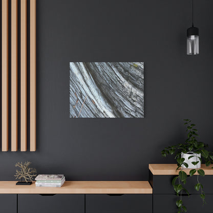 Weathered Wood Grain - Unique Frameless Canvas Wall Art - Art By Earth