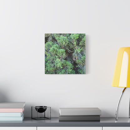 Green Labyrinth - Unique Frameless Canvas Wall Art - Art By Earth