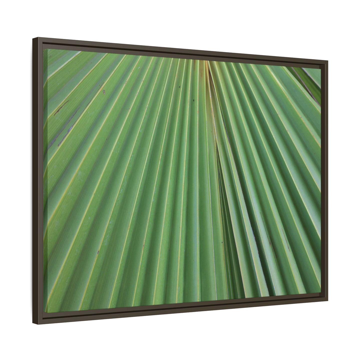 Verdant Veins - Unique Stretched Canvas Wall Art - Art By Earth