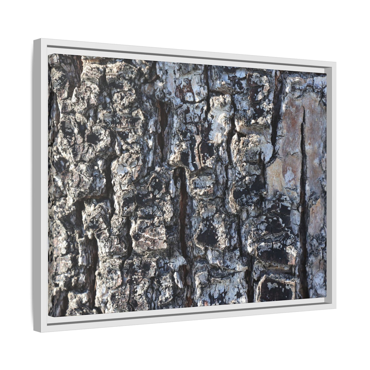 The Bark Chronicles - Unique Stretched Canvas Wall Art - Art By Earth