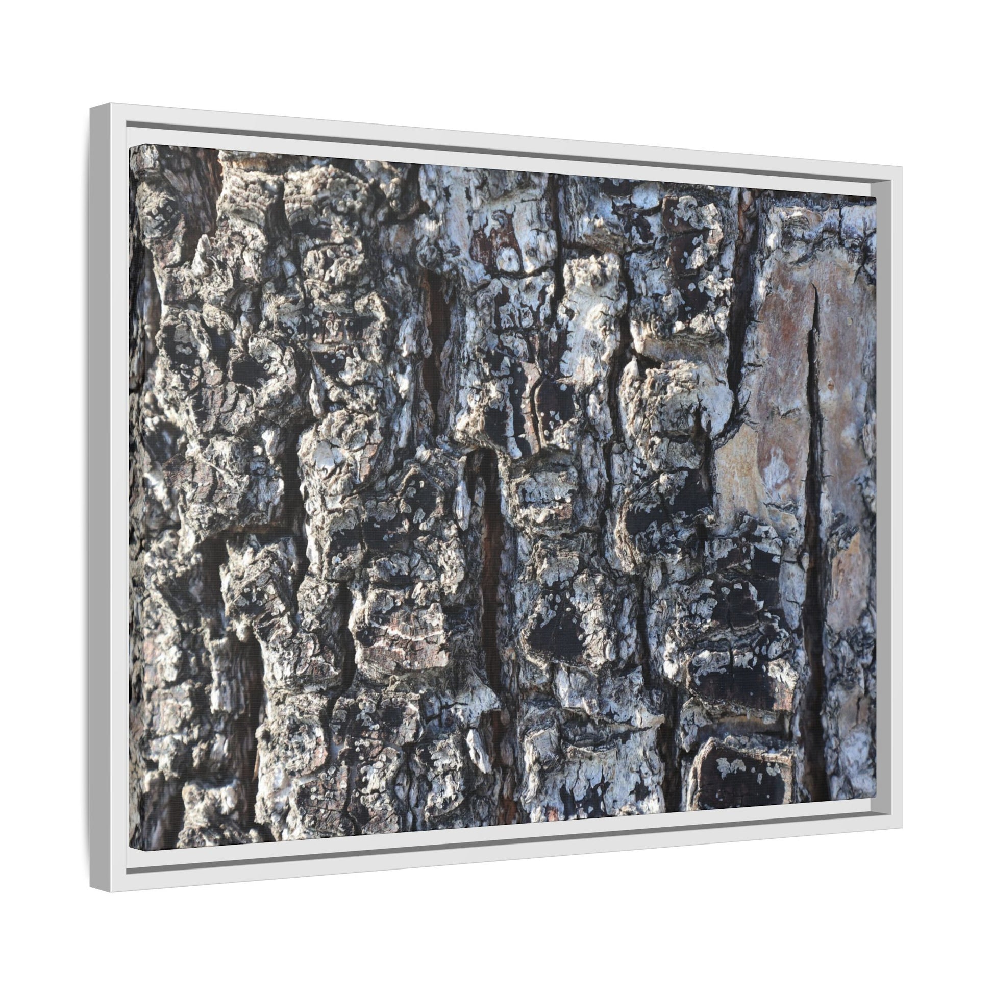 The Bark Chronicles - Unique Stretched Canvas Wall Art - Art By Earth