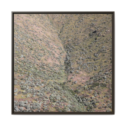 Mountain Slope with Desert Vegetation - Unique Stretched Canvas Wall Art - Art By Earth