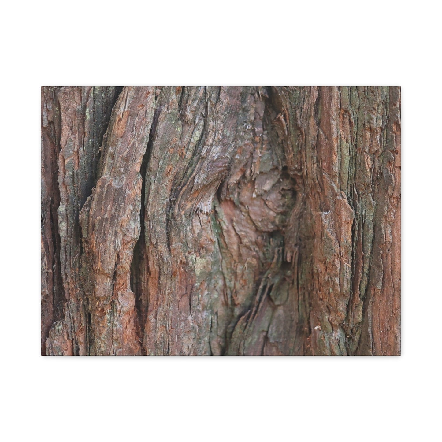 Rustic Embrace - Unique Frameless Canvas Wall Art - Art By Earth