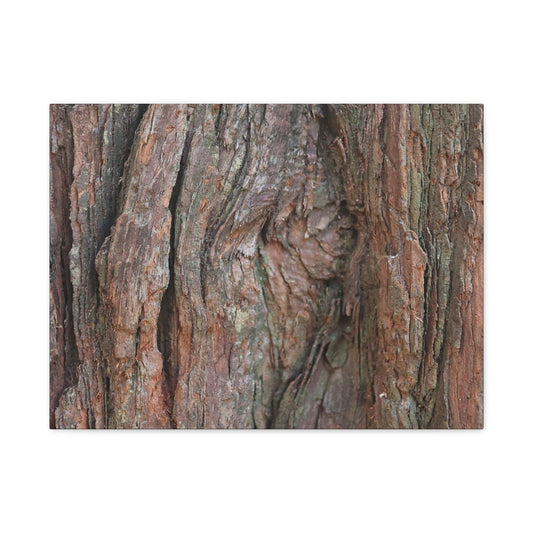 Rustic Embrace - Unique Frameless Canvas Wall Art - Art By Earth