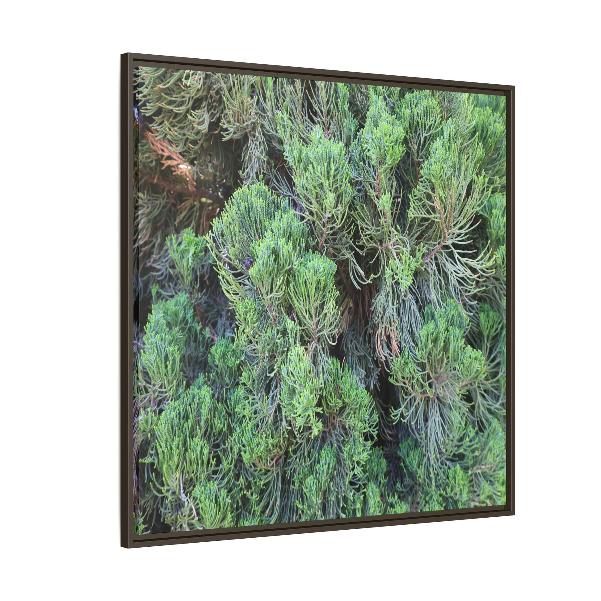Verdant Whispers - Unique Stretched Canvas Wall Art - Art By Earth