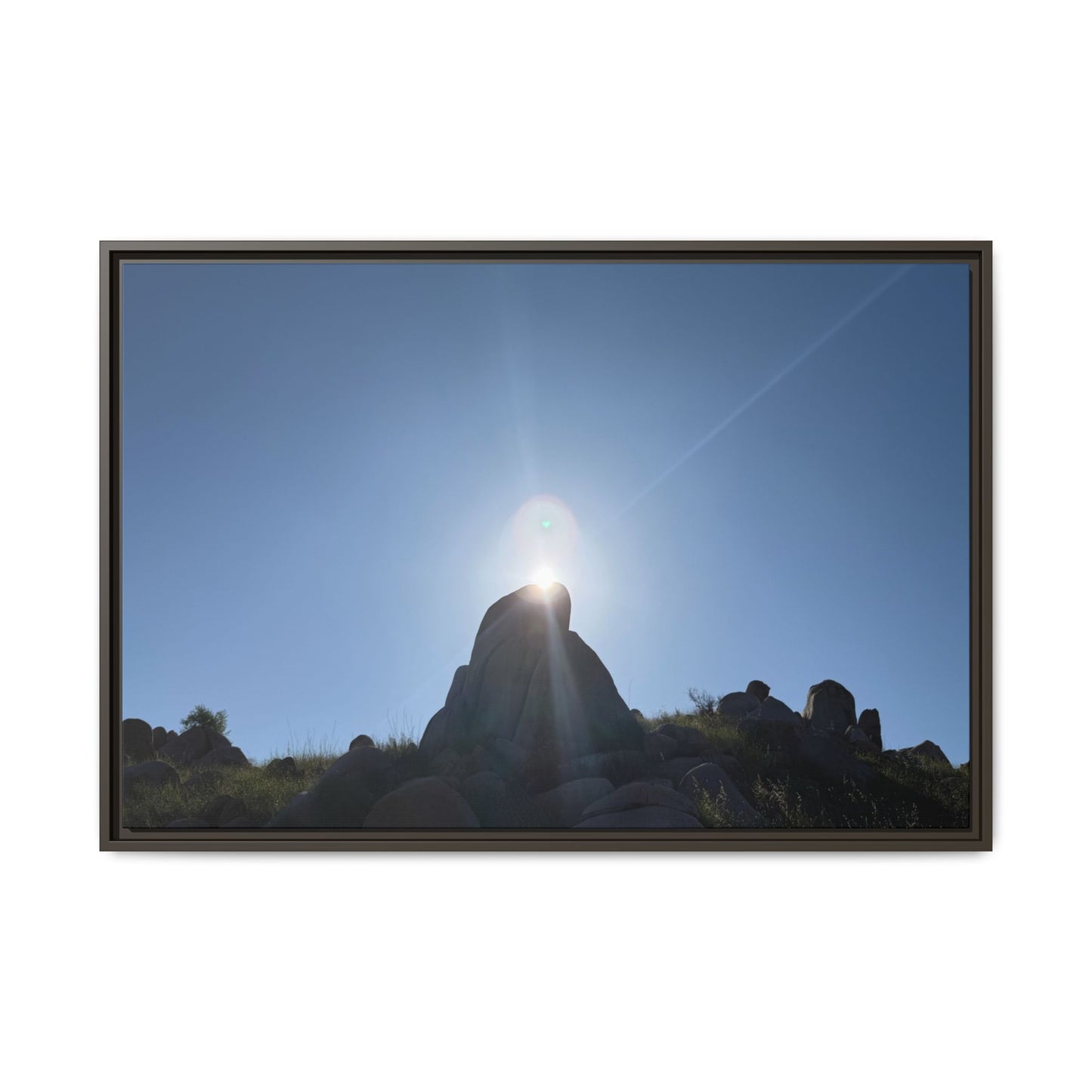 Sunburst - Unique Stretched Canvas Wall Art - Art By Earth