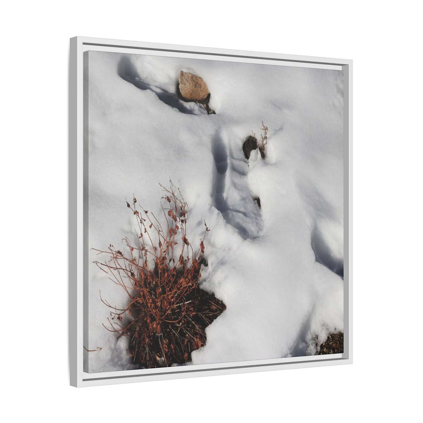 Frostbound Whispers - Unique Stretched Canvas Wall Art