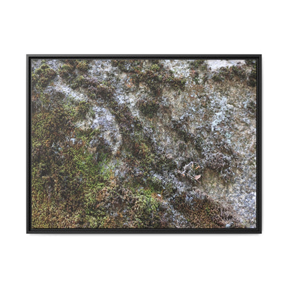 Mossy Whispers - Unique Stretched Canvas Wall Art - Art By Earth