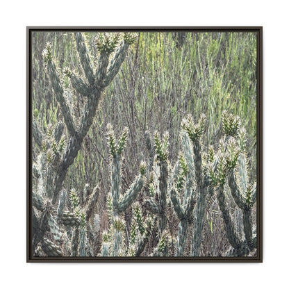 Prickly Paradise - Unique Stretched Canvas Wall Art - Art By Earth