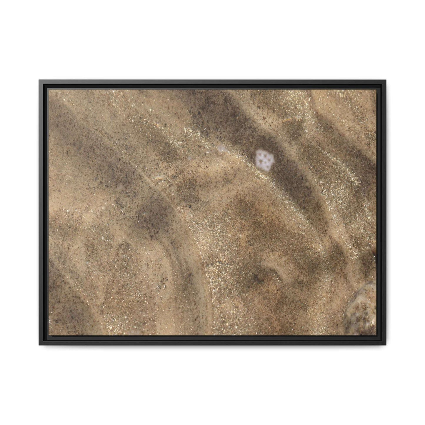 Underwater Sand Exploration - Unique Stretched Canvas Wall Art - Art By Earth