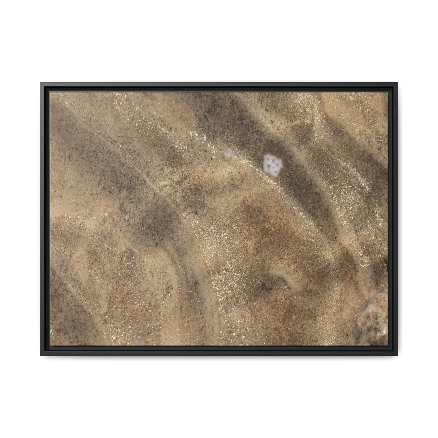Underwater Sand Exploration - Unique Stretched Canvas Wall Art - Art By Earth