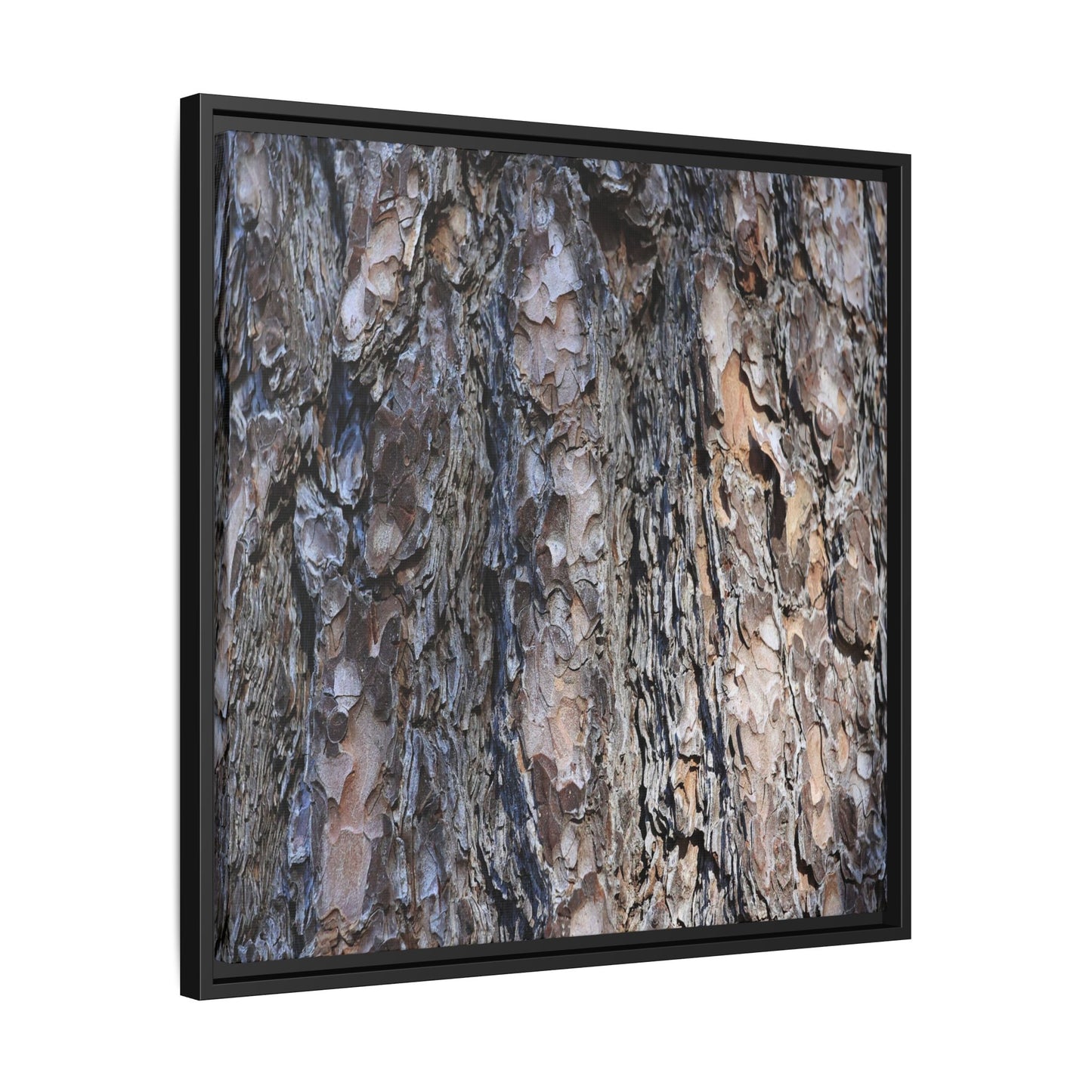 Weathered Patterns - Unique Stretched Canvas Wall Art - Art By Earth