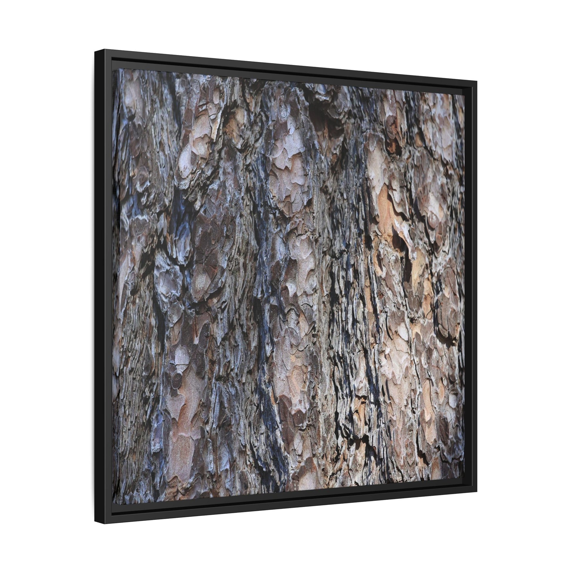 Weathered Patterns - Unique Stretched Canvas Wall Art - Art By Earth