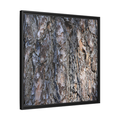 Weathered Patterns - Unique Stretched Canvas Wall Art - Art By Earth