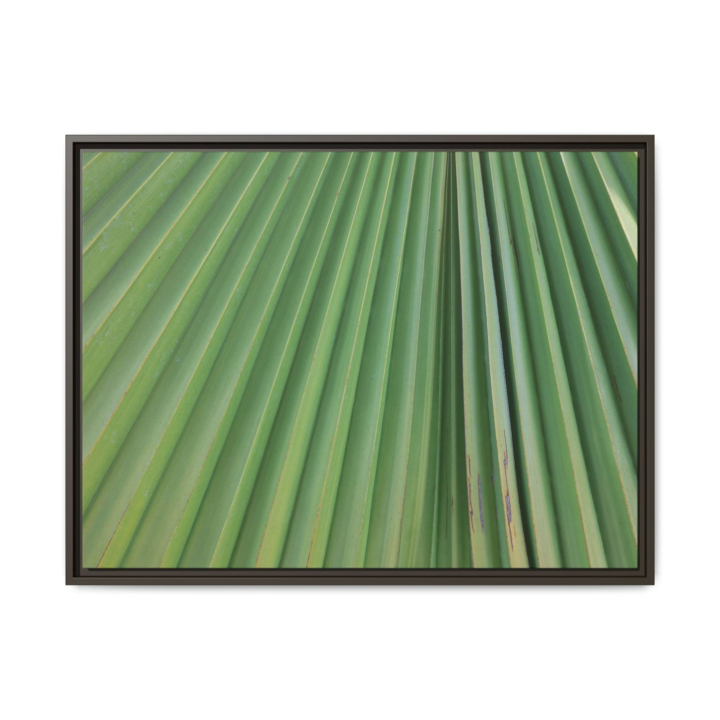 Emerald Rays - Unique Stretched Canvas Wall Art - Art By Earth