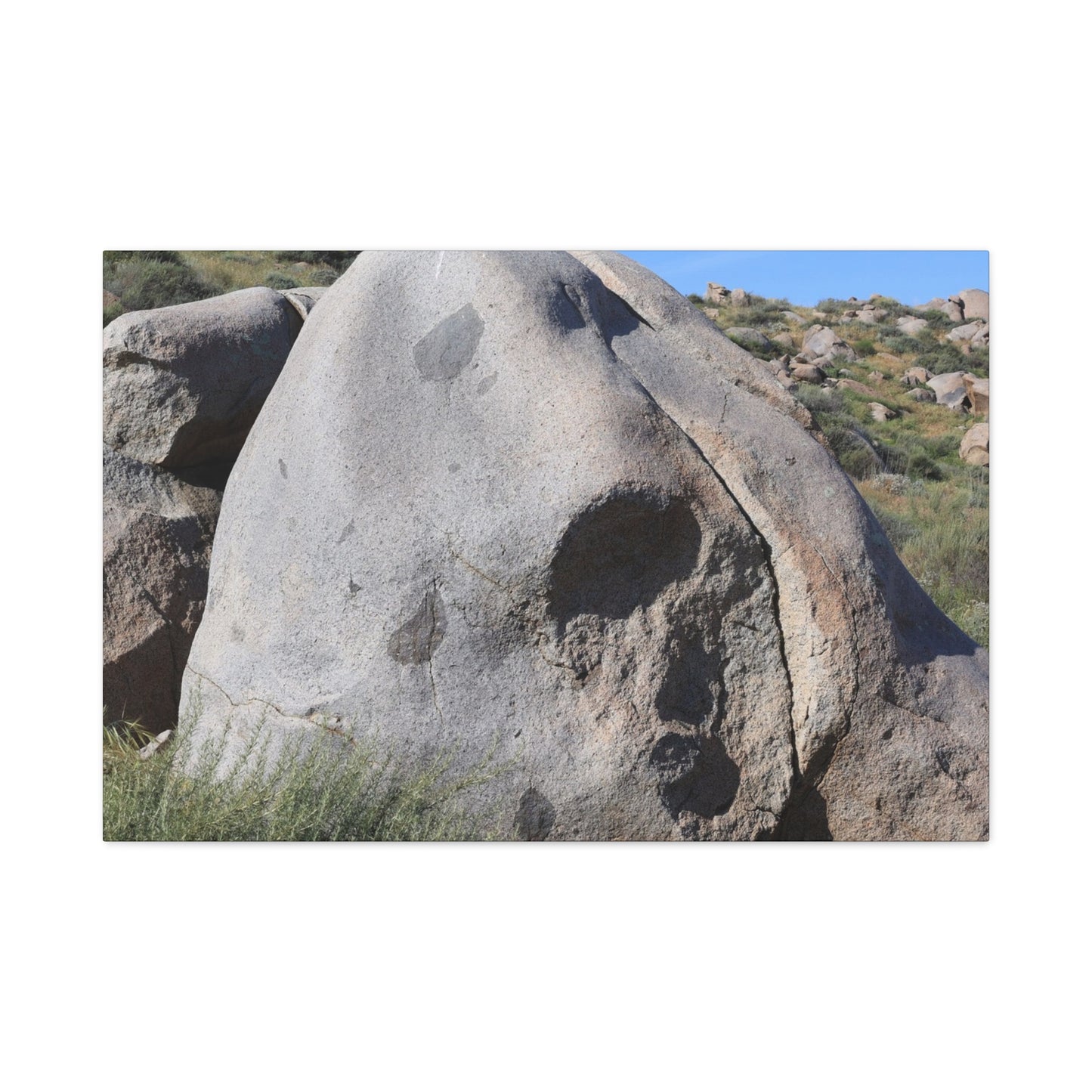 Skull Rock - Unique Frameless Canvas Wall Art - Art By Earth