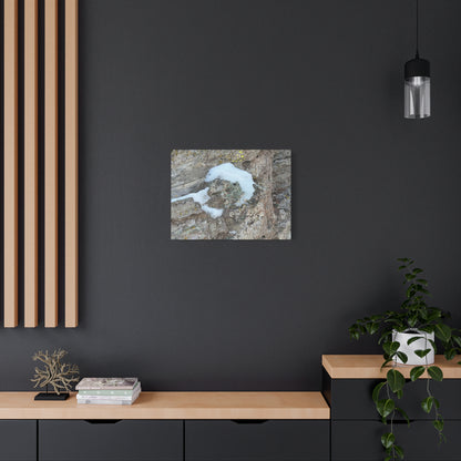 Snow on Stone - Unique Frameless Canvas Wall Art