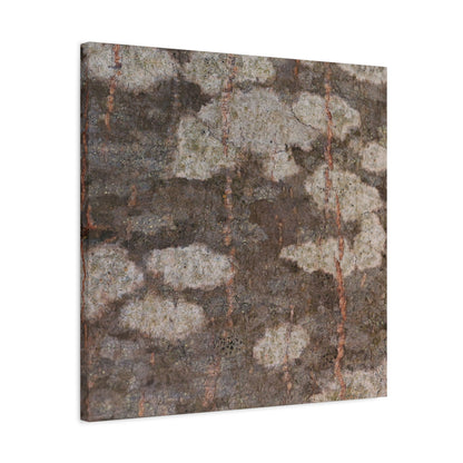 Earthen Memoir - Unique Frameless Canvas Wall Art - Art By Earth