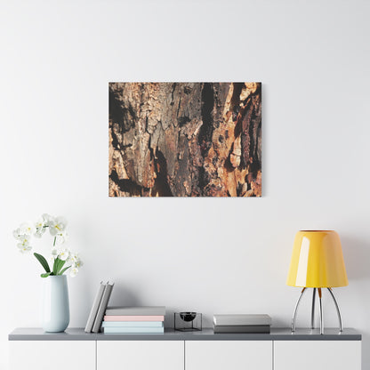 Wooden Terrain - Unique Frameless Canvas Wall Art - Art By Earth