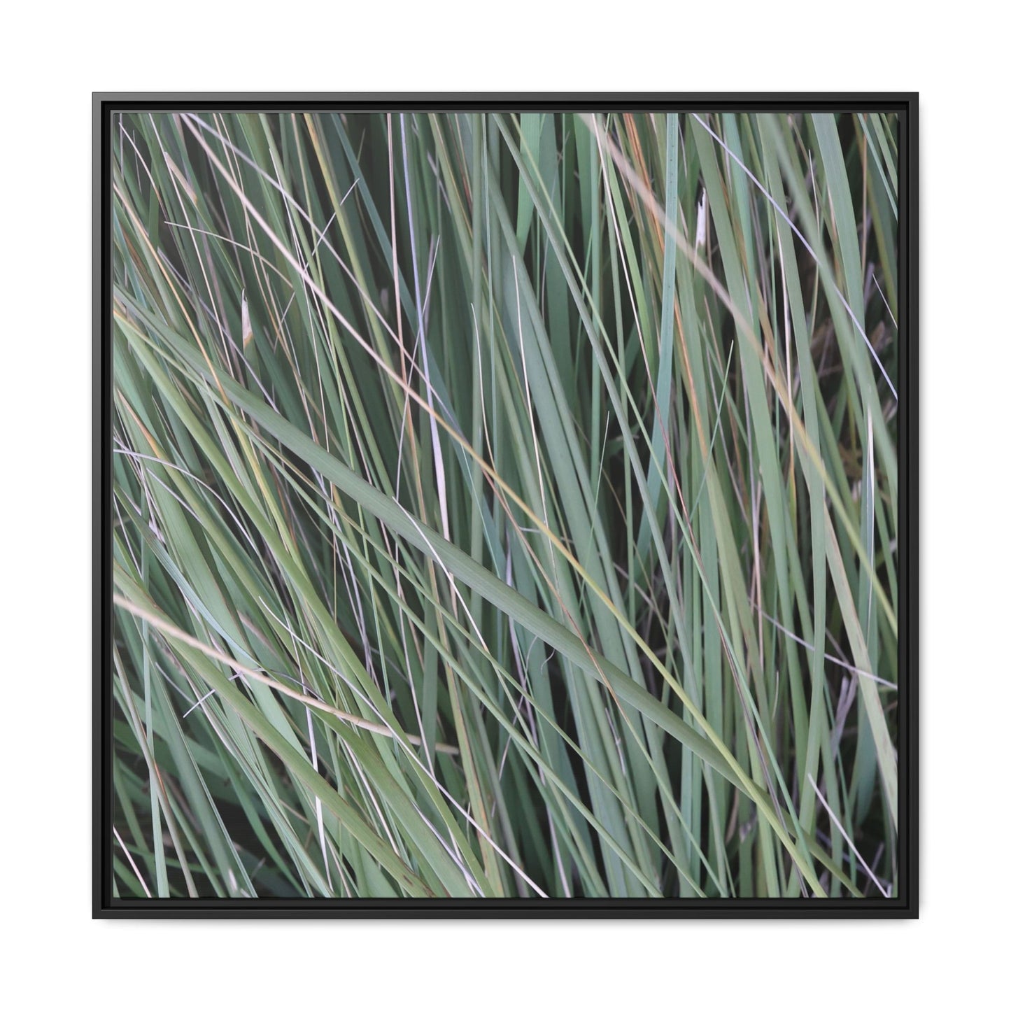 Grassland Symphony - Unique Stretched Canvas Wall Art - Art By Earth