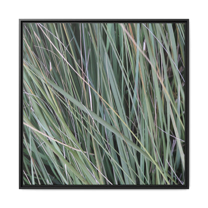 Grassland Symphony - Unique Stretched Canvas Wall Art - Art By Earth