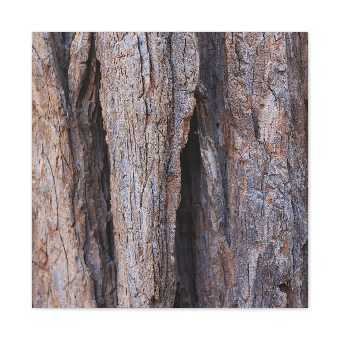 Fractal Skin - Unique Frameless Canvas Wall Art - Art By Earth