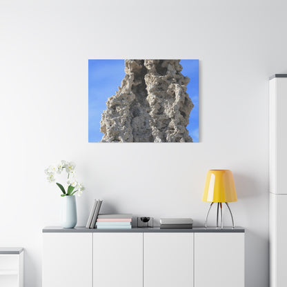Calcified Whispers - Unique Frameless Canvas Wall Art