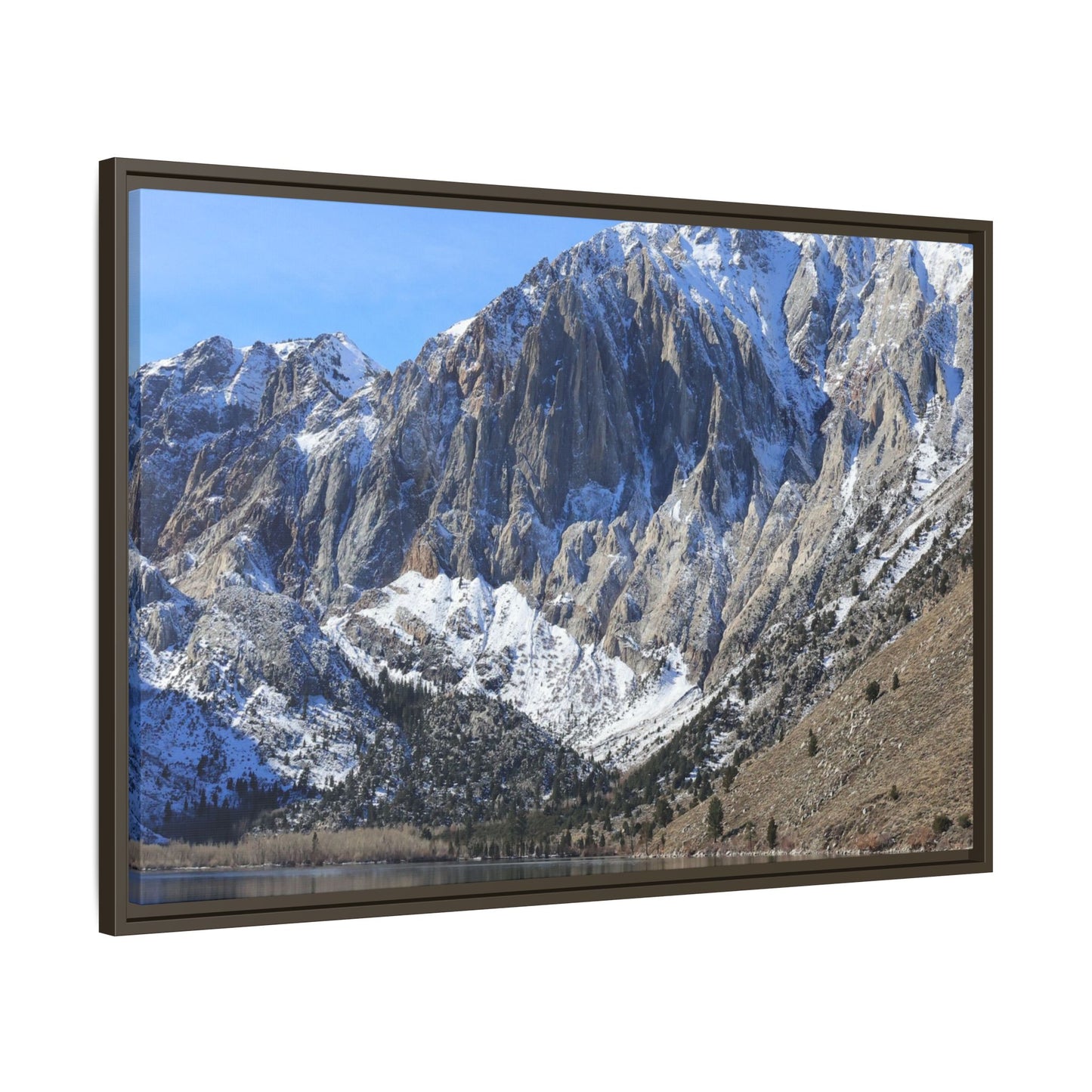 Frozen Reflection - Unique Stretched Canvas Wall Art