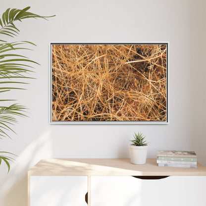 Dried Grass - Unique Stretched Canvas Wall Art - Art By Earth